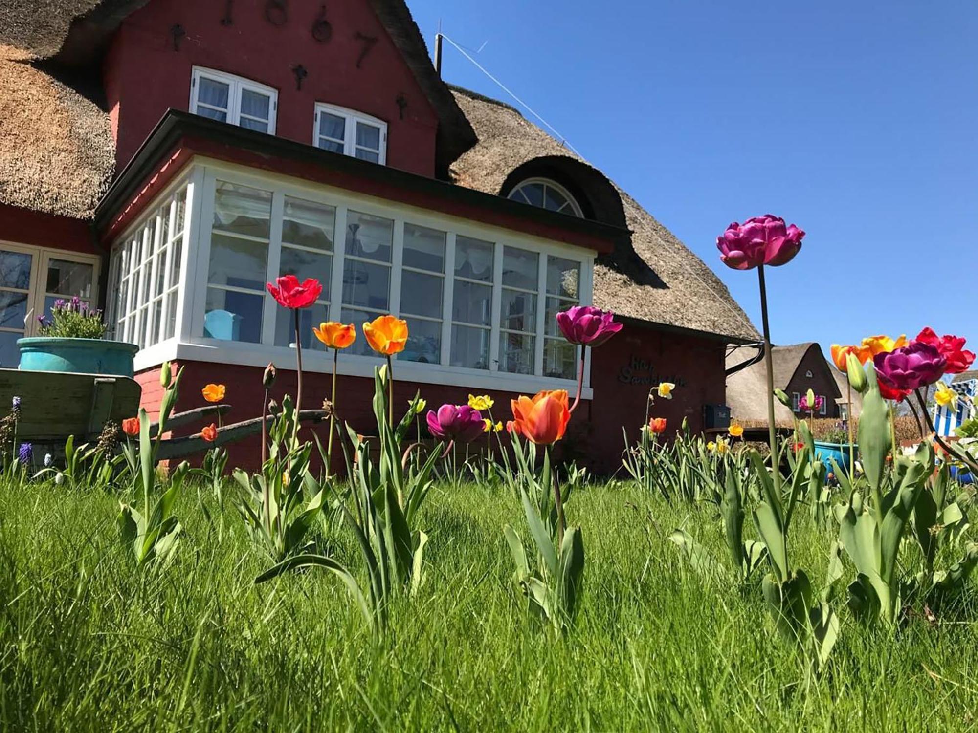 Hues Sanskiin Ferienwohnung *Brombelbei* Suddorf Екстериор снимка